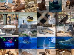 -石家庄市动物园