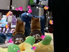 -逗柴咖啡屋·狗咖猫咖宠物桌游