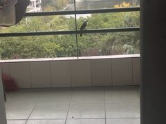 -成都大学-图书馆