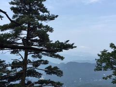 -内乡宝天曼生态旅游区