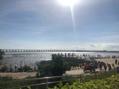 -宝安西湾红树林湿地公园