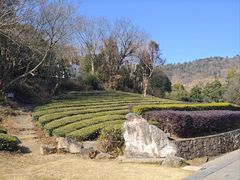 -敬亭山风景名胜区