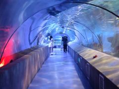 -太平洋海底世界