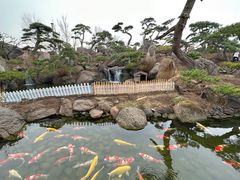 -罗红摄影艺术馆