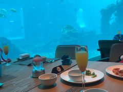 -海棠湾洲际-涛·海底餐厅·美人鱼·自助餐·海底隧道