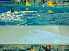 -威海华夏城景区