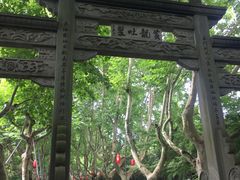 -杭州黄龙洞