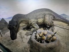 -国家自然博物馆