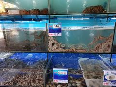 水产区-南海渔家•海鲜•正宗海南菜(海棠湾店)