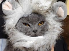 -潇湘阁(昆泰国际大厦店)