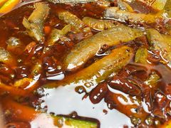 麻辣泥鳅-蜀膳坊(洪公祠小区店)