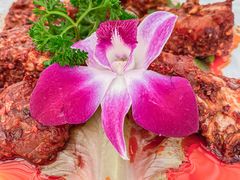 -悦见花开·花园里的火锅·露营·下午茶