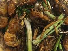 油爆虾沼yi➋-老头儿油爆虾(星光一期店)