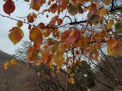 -黑龙潭风景区