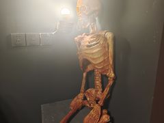 -百川·追风楼沉浸式剧本杀
