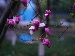 -白塘生态植物园