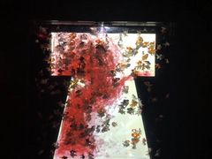 -上海环球金融中心云端足球盛典