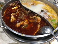 鸳鸯锅-肖肖酸萝卜鱼火锅(总店)