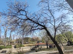 -元大都城垣遗址公园