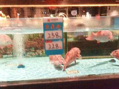 -阿伟海鲜楼·福建菜(延寿店)