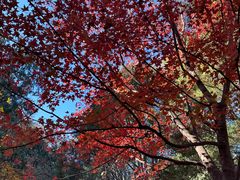 -香山公园