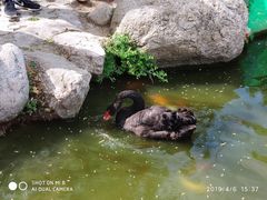 -西安秦岭野生动物园