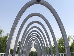 -大兴滨河森林公园