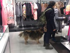 -潘多夫名品奥特莱斯