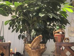 -懒人盐府人家·自贡大麻鱼(安贞店)