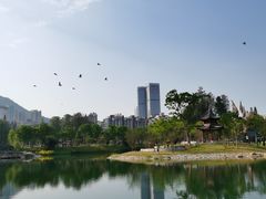 -四海公园(南山区)