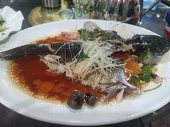 -东鸽皇(奥园·中环广场店)