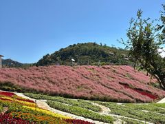 -沂蒙云瀑洞天景区