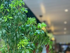 -明谦·Coffee&Cocktail Bar(美您公园店)