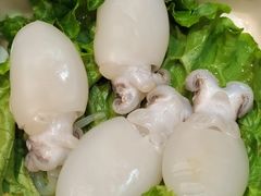 小鱿鱼-海底捞火锅(万丰桥店)