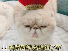 -福州肆爪动物医院