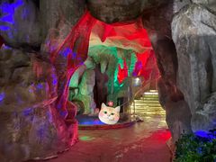 -惠州金海湾嘉华度假酒店