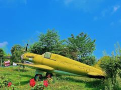 -空港花田景区