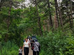 -帽儿山国家森林公园