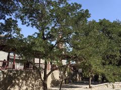 -白塔山公园