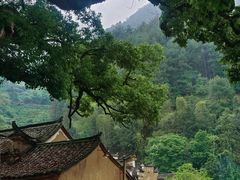 -杨家堂村