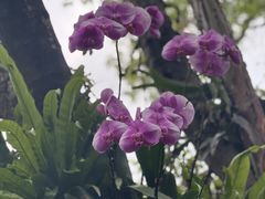 -厦门园林博览苑