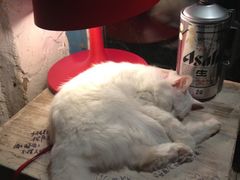 -Babycat私家御饼屋(龙头路一店)