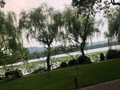 -苏堤停车场