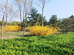 -绿堤公园