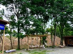 -长沙黑麋峰国家森林公园