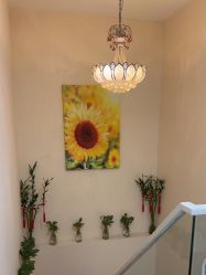 -赢韵美甲美睫瑞士净斑中心