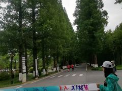 -黄海国家森林公园