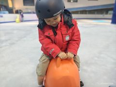 -海合安成都极地海洋公园