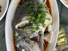 -七鲜渔港美食餐厅(巽寮湾海景店)