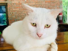 -重庆雨台山风景区